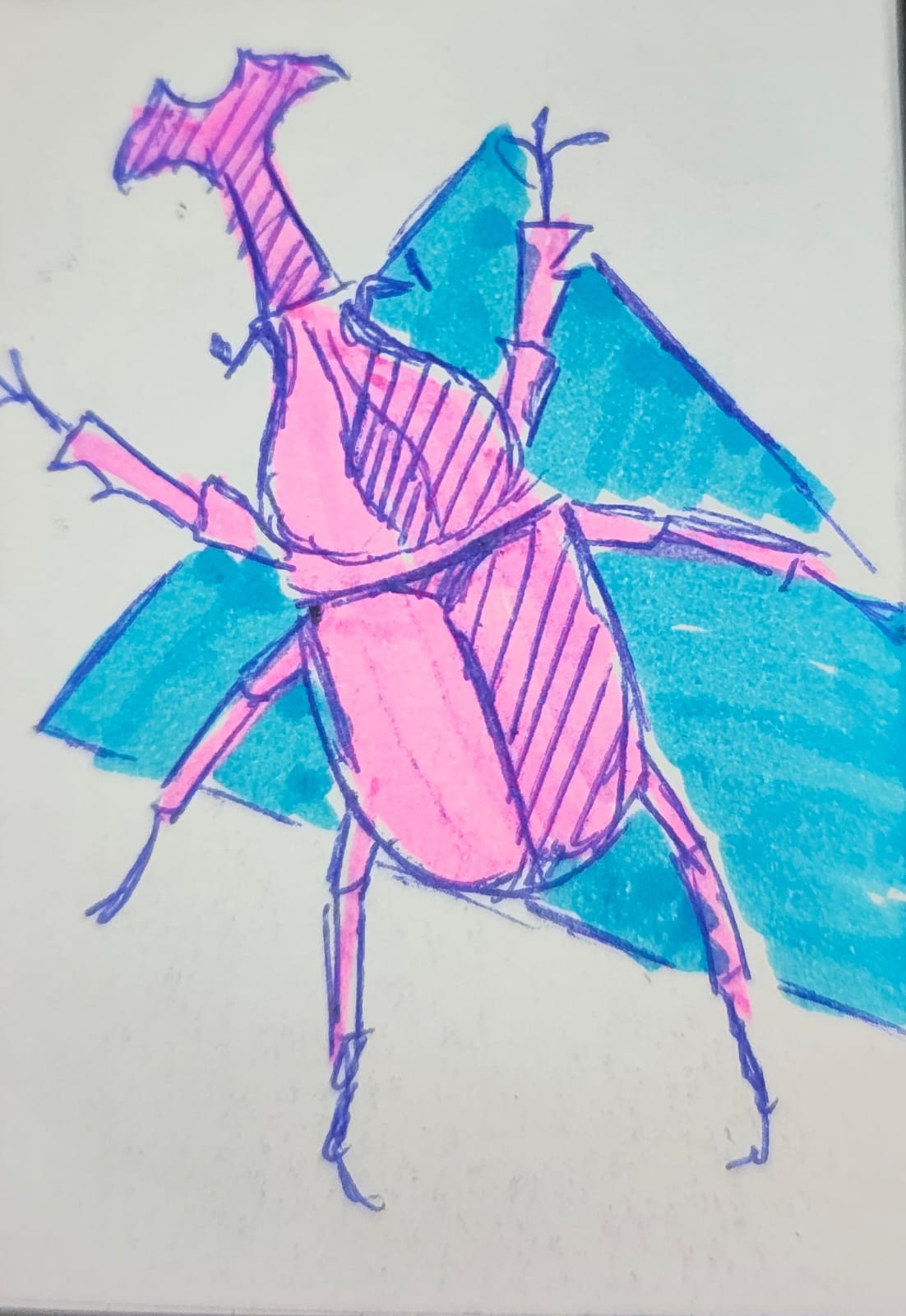 Bug 1