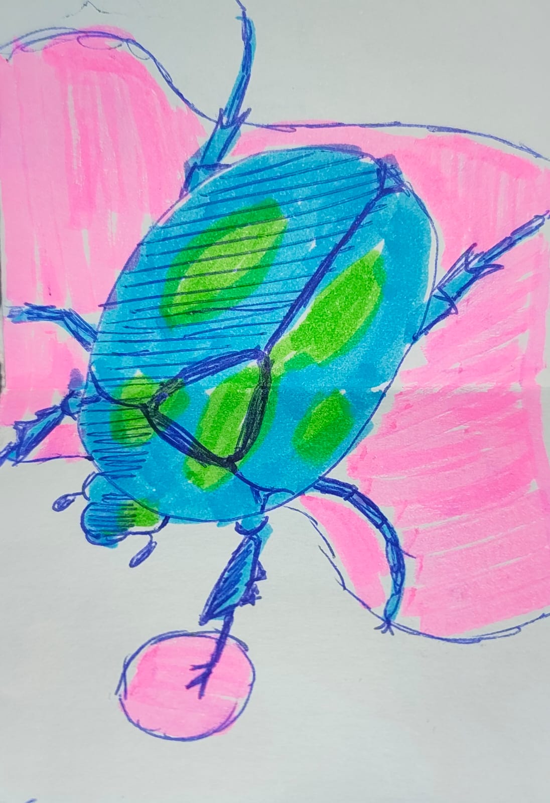 Bug 2