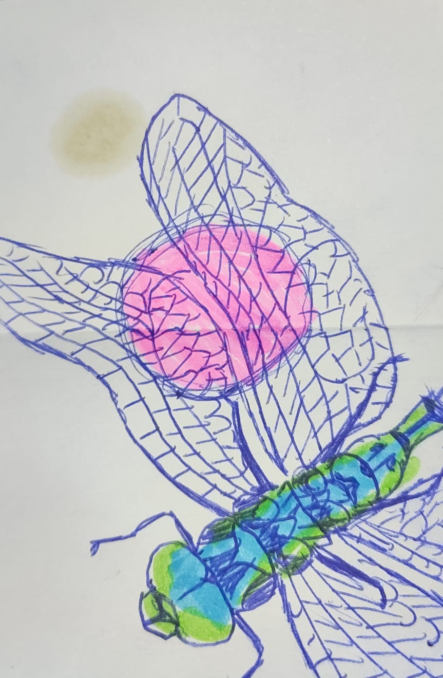 Bug 4