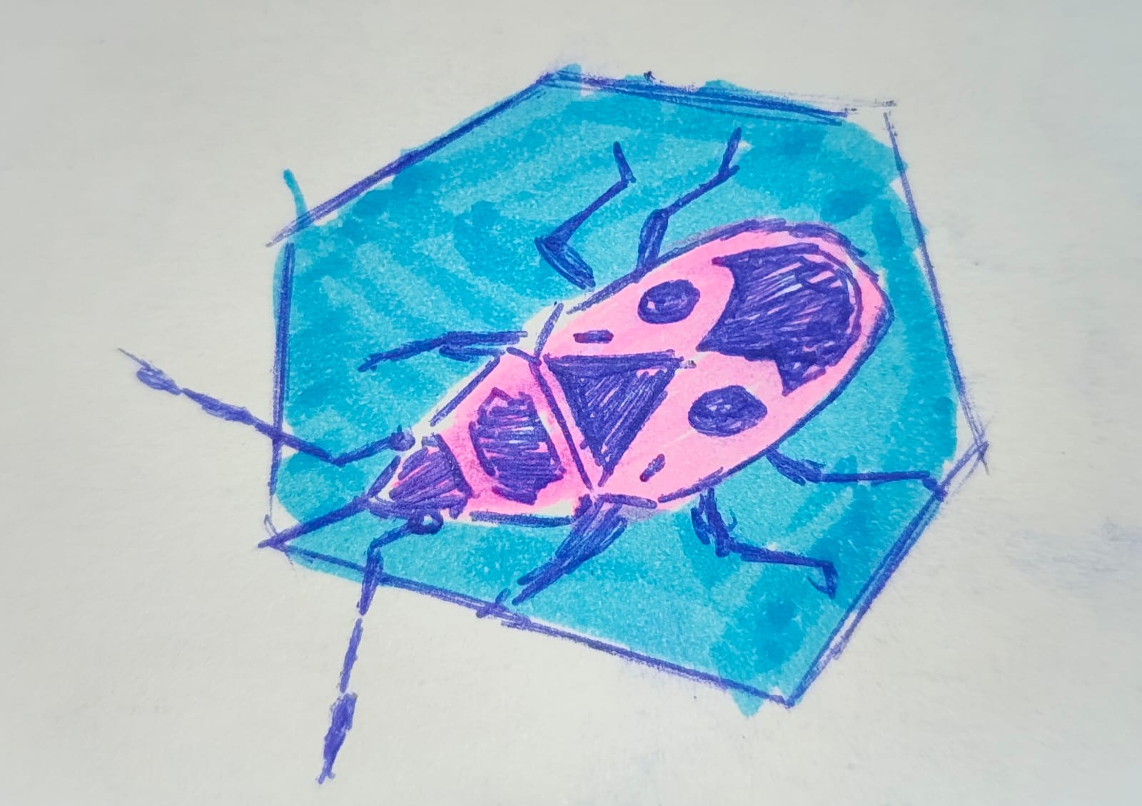 Bug 5